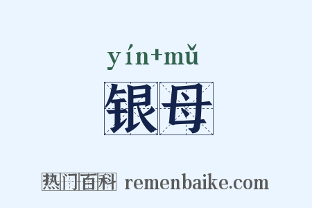 银母是什么意思的图片